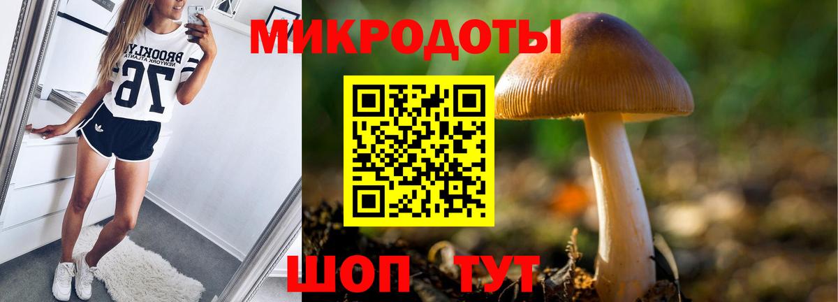 Мичуринск  Псилоцибиновые грибы GOLDEN TEACHER  Вход с VPN 