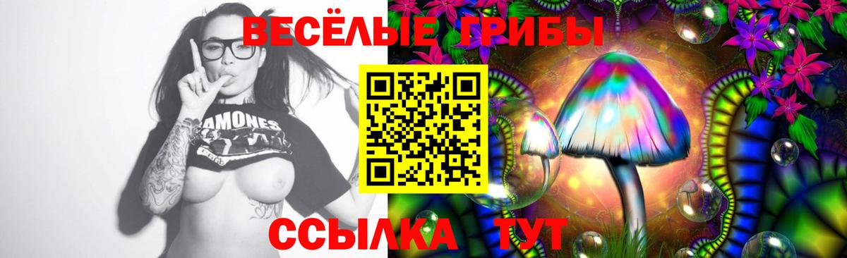 Псилоцибиновые грибы прущие грибы Мичуринск