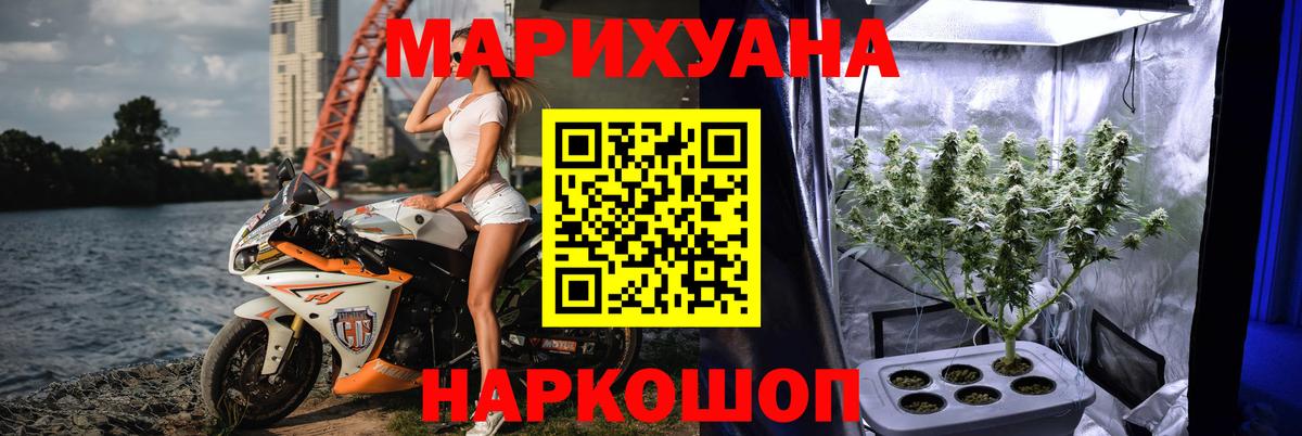 Бошки марихуана сатива  Конопля ГИДРОПОН  Вход с VPN  Мичуринск  Бошки Шишки план  Конопля планчик 